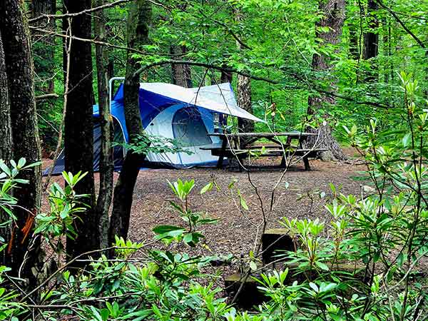 photo of a family sized tent set among the trees by a picnic table