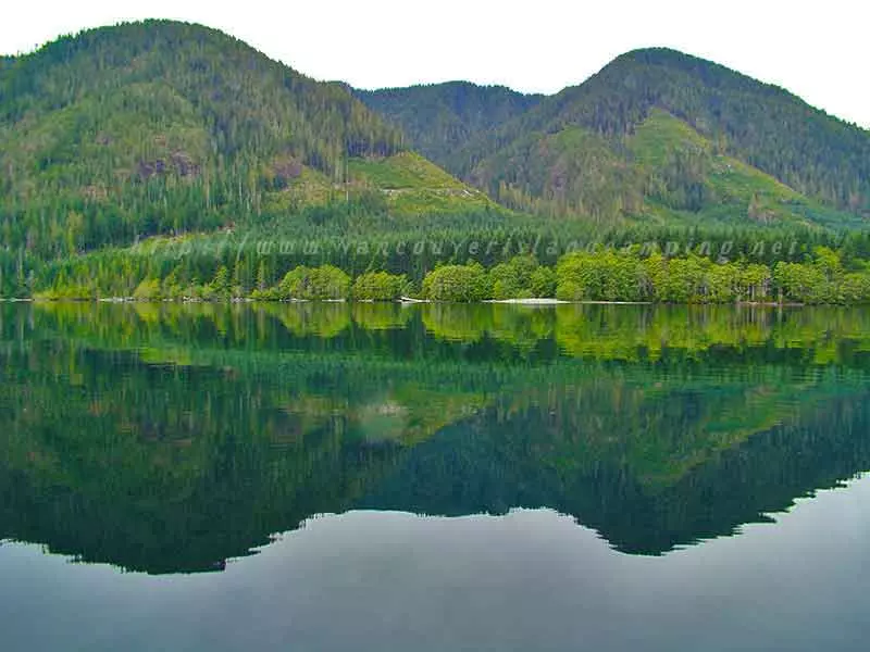 photo of the other side of the lake from vernon lake recreation campgrounds