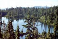 Camping Vancouver Island