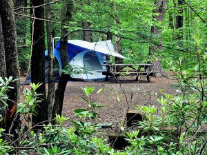 vancouver island camping