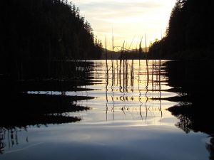kathleen lake campground by vancouver island camping