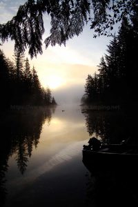 Amor Lake Recreation Site One of Vancouver Islands Best