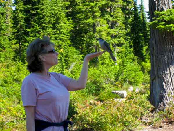 photo of aunt Jackie with a Gray Jay otherwise known locally as a whiskey jack