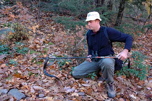 photo of why snakes and camping outdoors don't mix