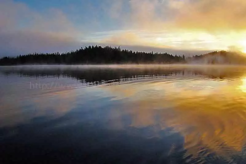 Photo of a foggy sunrise over Amor Lake on Vancouver Island