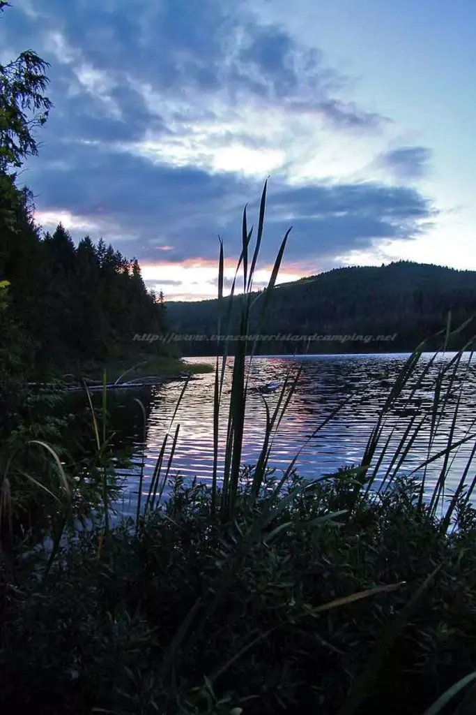 photo of beginning sunset as viewed through some shoreline reeds on Mohun Lake