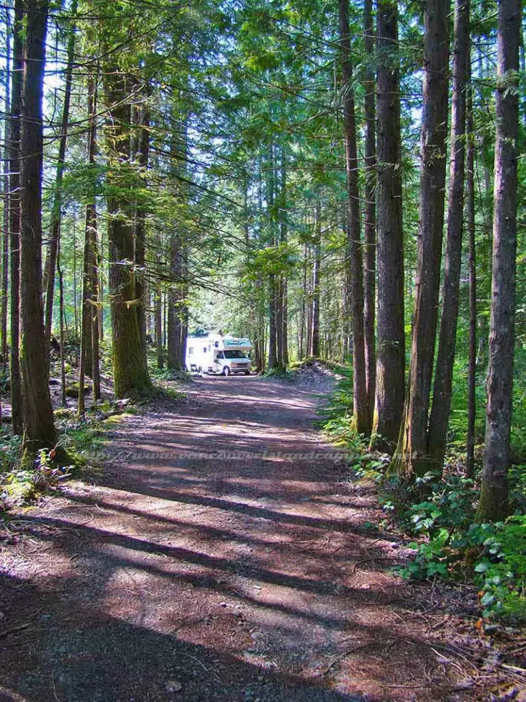 photo of the road into paterson lake campground on vancouver island