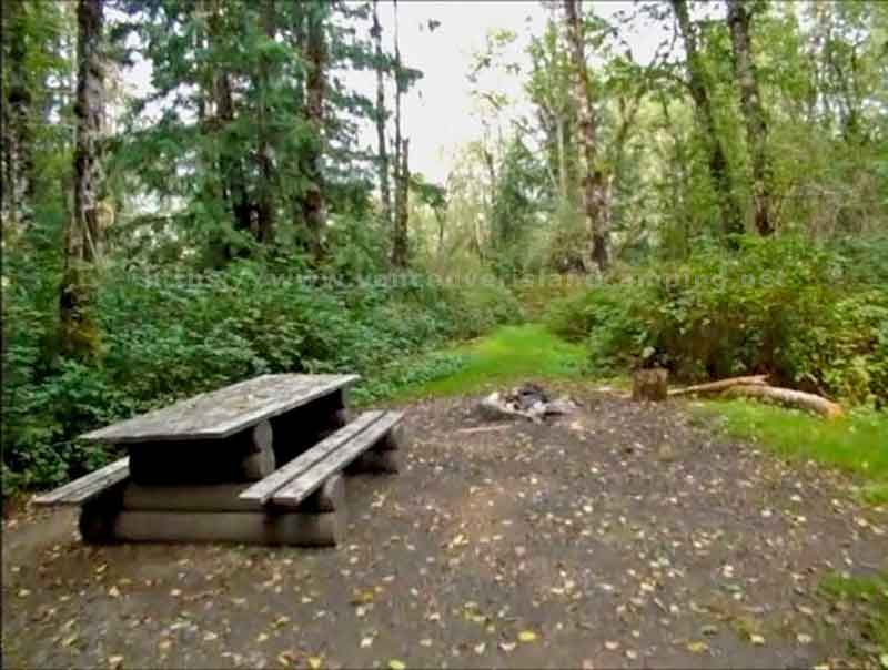 photo of the Aldergrove Campsite on McCreight Lake