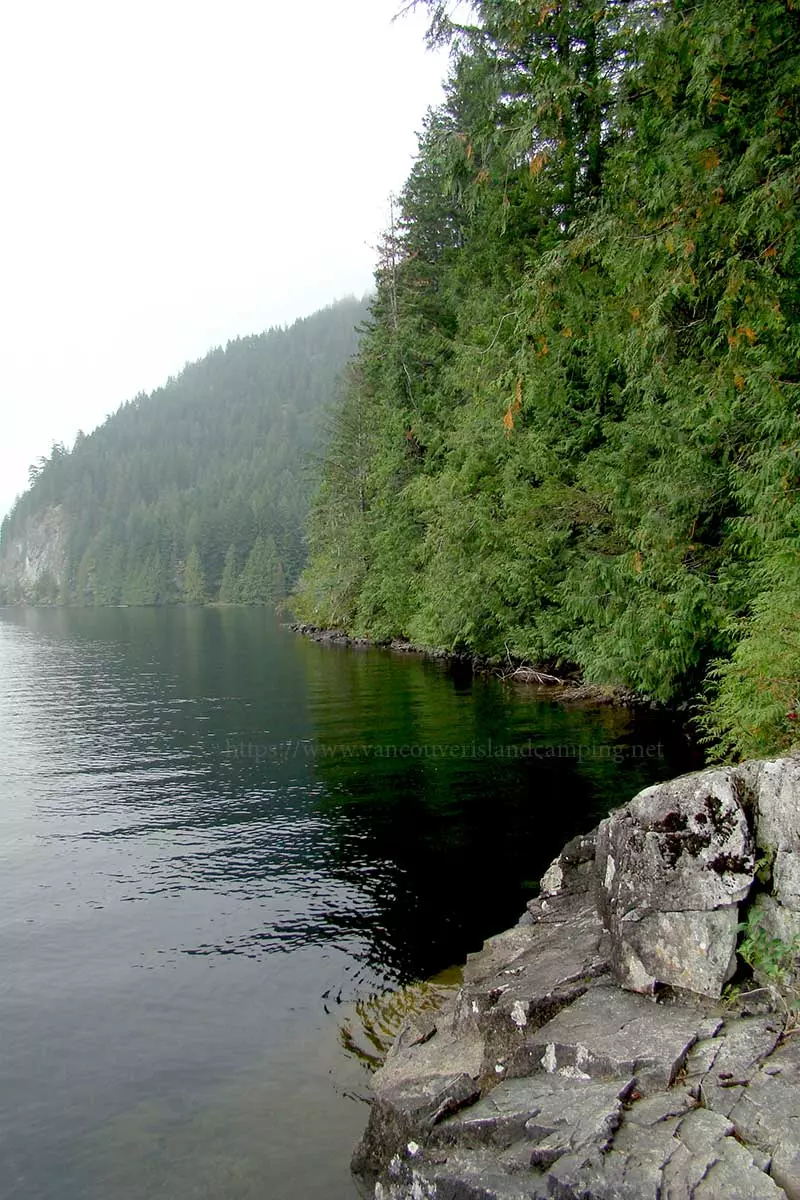 photo of mccreight lake shoreline