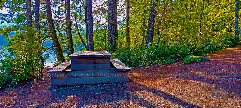 photo of the picnic table at Petite Gosling Recreation Site on Vancouver Island, British Columbia Canada
