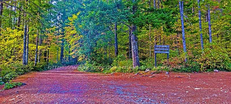 photo showing the open area of Petite Gosling campground on Vancouver Island, British Columbia Canada