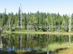 photo of a vancouver island lake that Is camping in the fall a good vacation choice for the family