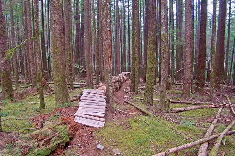 photo of the mountain bike trail between Stella Lake Recreation Site and Stella Bay Campground