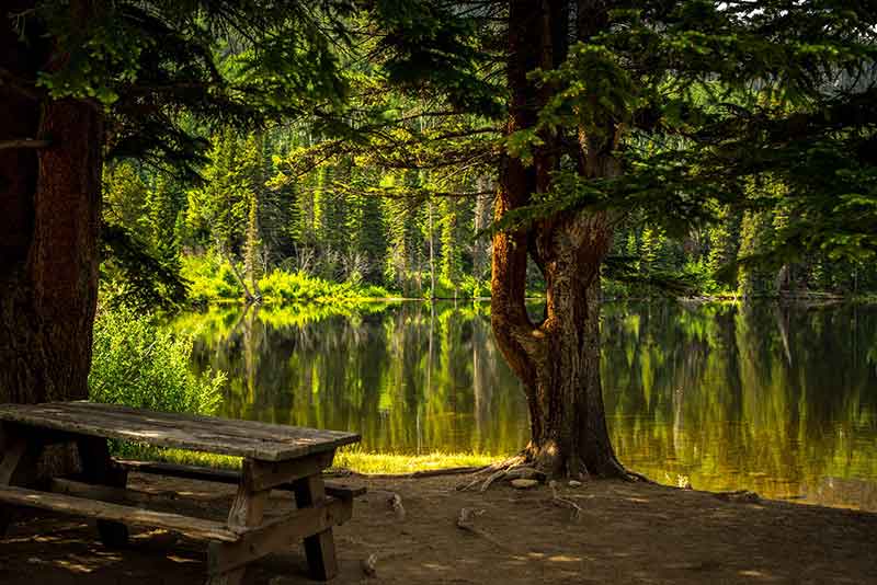 photo of a campsite in a recreation campground on Vancouver Island