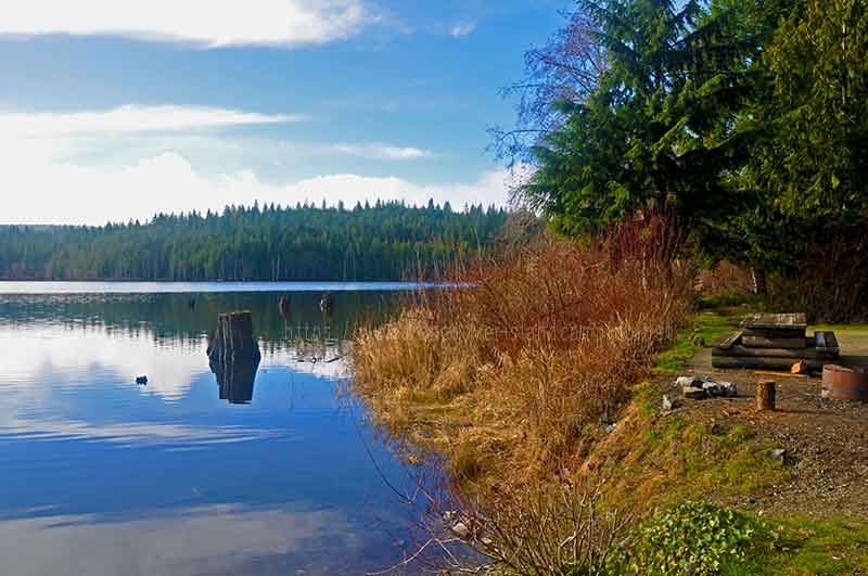 Photo of a campsite at Fry Trestle Recreation Site on Vancouver Island BC Canada