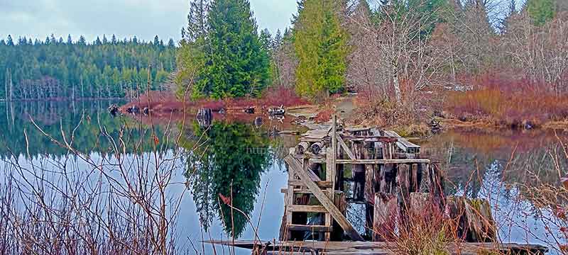 photo of Fry Lake Trestle looking towards Orchard Meadow Recreation Site on Vancouver Island BC Canada