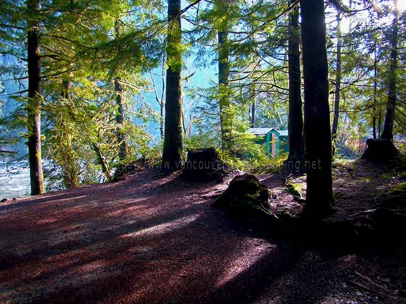 photo of a campsite showing the pit toilets in the background of the Gold River Campground on Vancouver Island