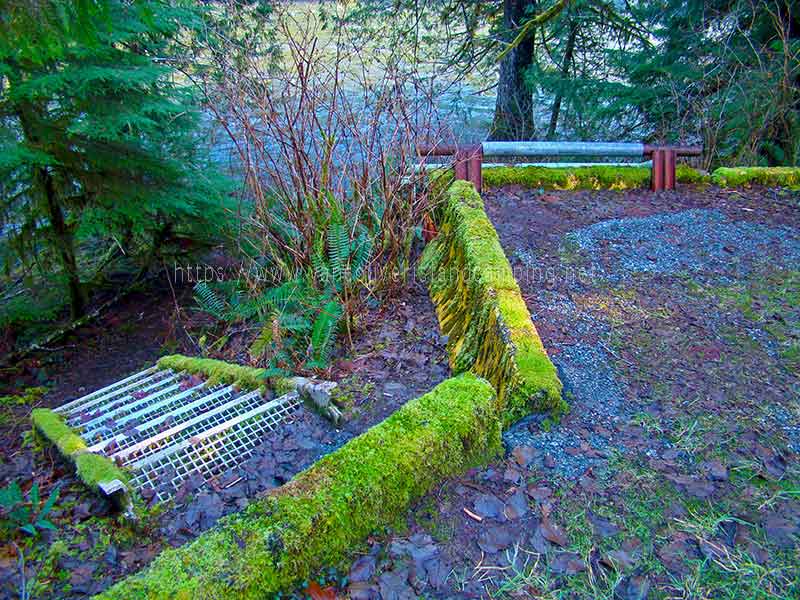 photo of the walk way to the river at the boat ramp at Gold River Campgrounds on Vancouver Island