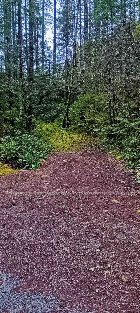 photo of the pullout lane beside fir grove recreation site sign on Vancouver Island British Columbia Canada