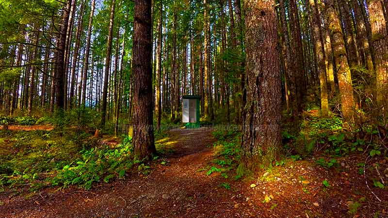 photo of the pit toilet at Dogwood Bay Campground on Vancouver Island British Columbia, Canada