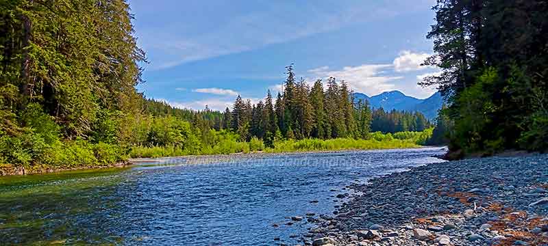 photo of the junction where the Adam River and Eve River meet on Vancouver Island British Columbia, Canada
