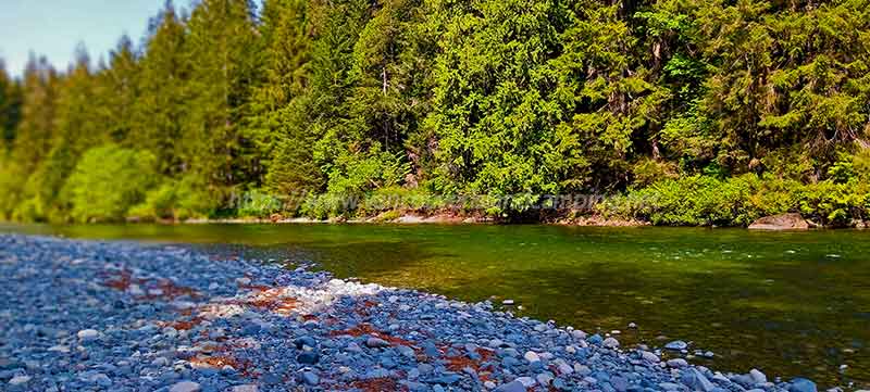 photo of the deep pool on the far side of the Eve River on Vancouver Island British Columbia, Canada