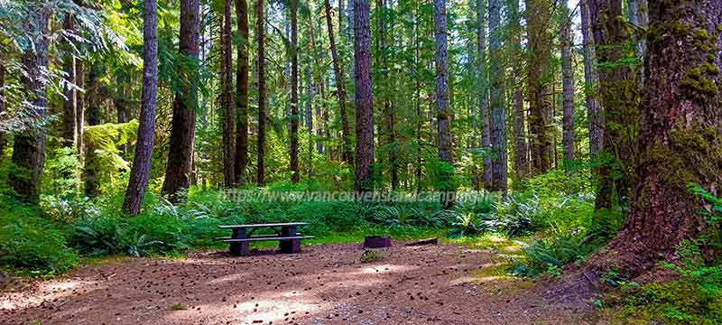 photo of a campsite on Junction Pool Recreation Site on Vancouver Island British Columbia, Canada