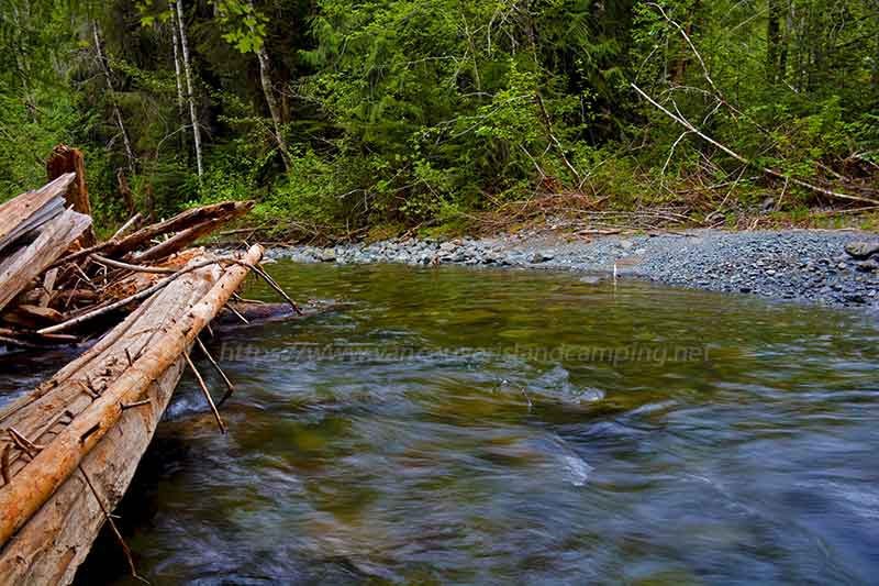 photo of a log jam on Montague Creek on Vancouver Island British Columbia, Canada