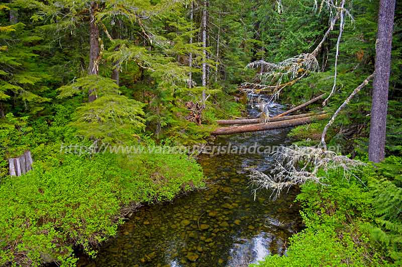 photo of the River Leaving Stewart Lake as seen from the bridge on Stewart Lake Road