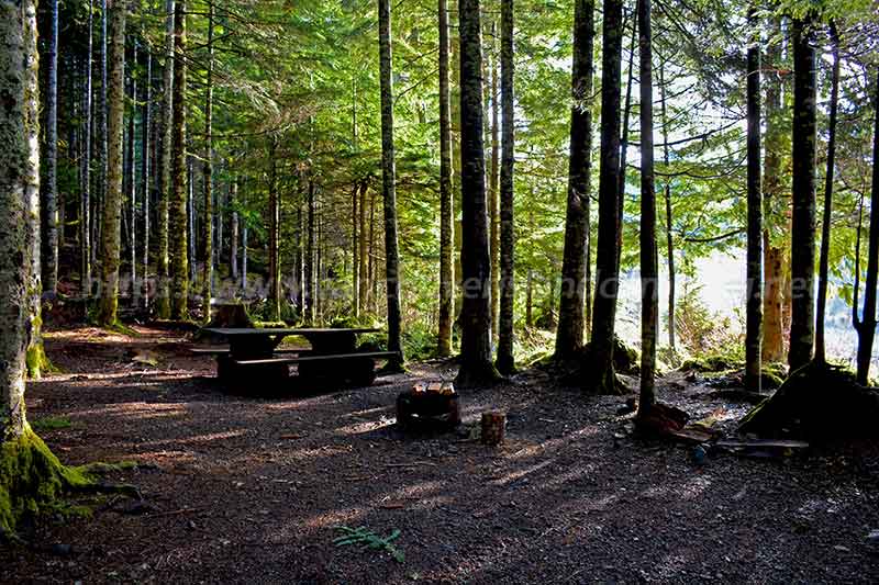 photo of a campsite at the Tlowils Lake Recreation Site on Vancouver Island British Columbia, Canada